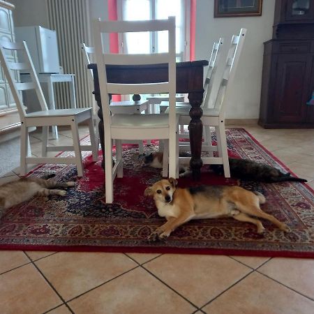 B&B Isoladelsole Perledo Εξωτερικό φωτογραφία
