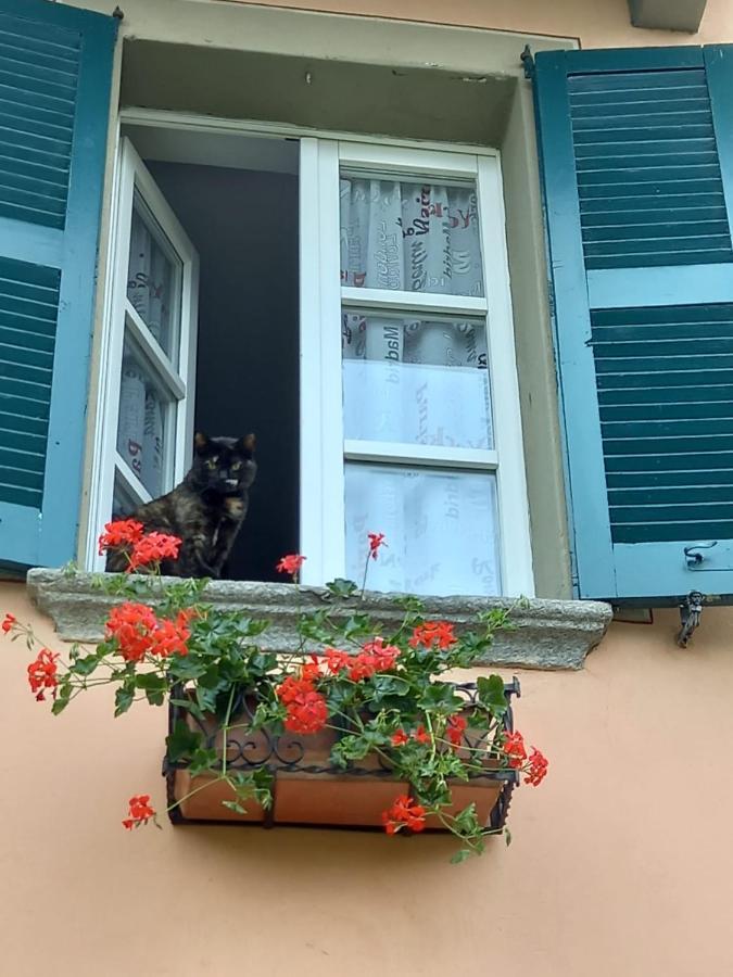 B&B Isoladelsole Perledo Εξωτερικό φωτογραφία